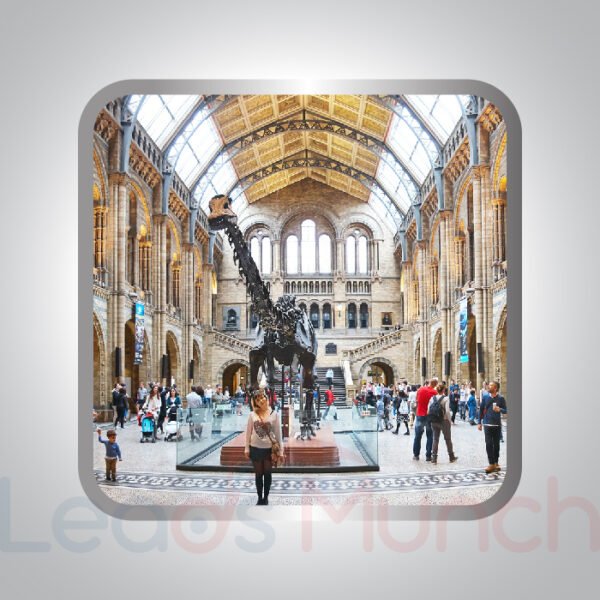 [NEW] USA Musems Email List, Sales Leads Database