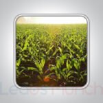 [NEW] USA Farms Mailing List, Sales Leads Database