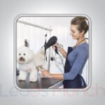 [NEW] USA Dog Groomers Email List, Sales Leads Database
