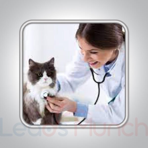 [NEW] USA Veterinarian Mailing List, Sales Leads Database